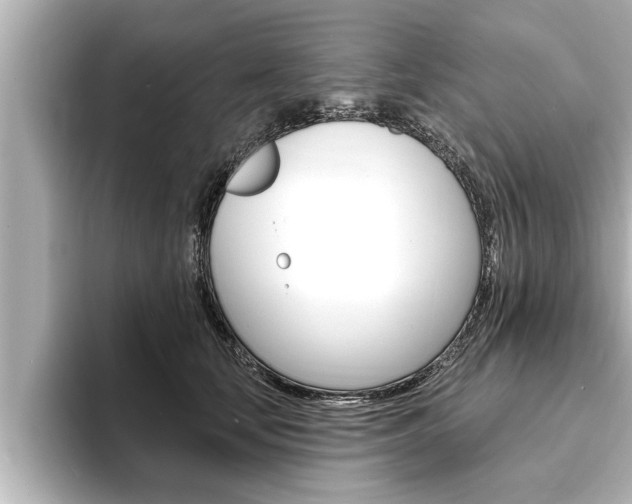 X0000093740659200710160751