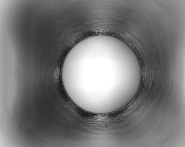 X0000093740660200710160751