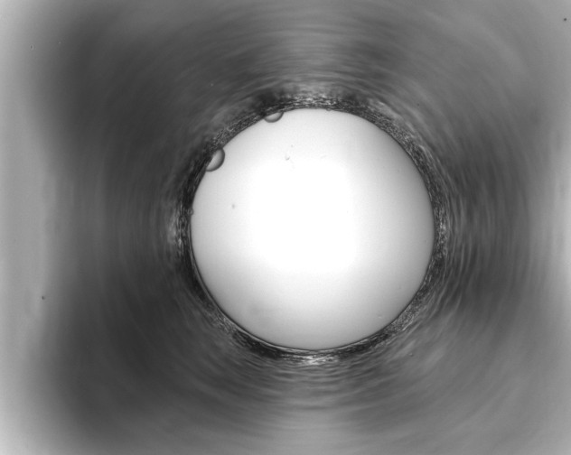 X0000093740663200710160751