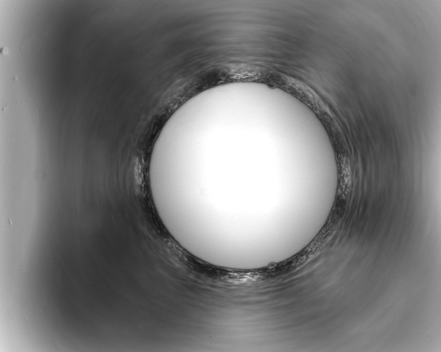 X0000093740667200710160751