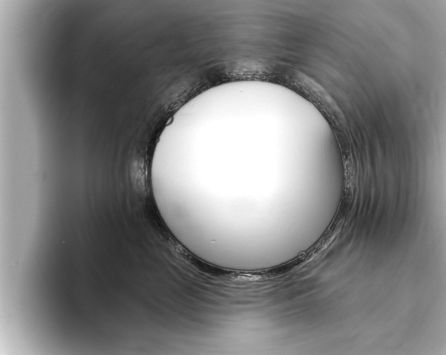 X0000093740669200710160751