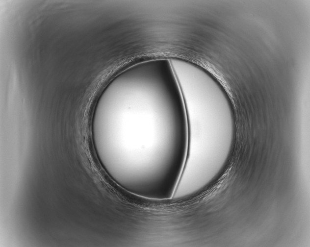 X0000093740673200710160750