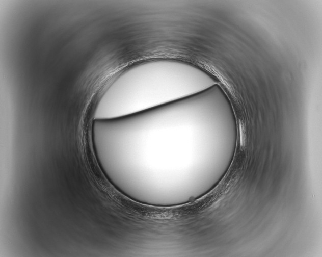 X0000093740675200710160750