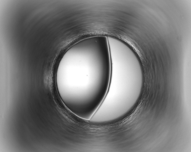 X0000093740677200710160750