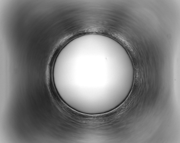X0000093740678200710160750