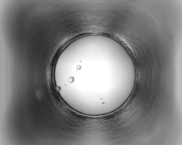 X0000093740679200710160750
