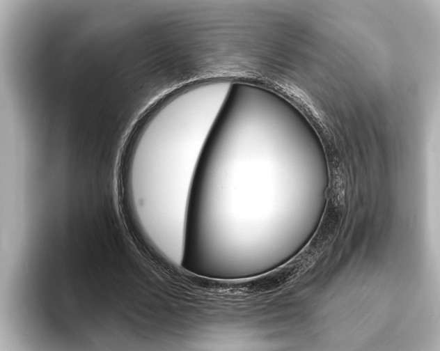 X0000093740680200710160750