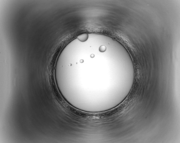 X0000093740687200710160750