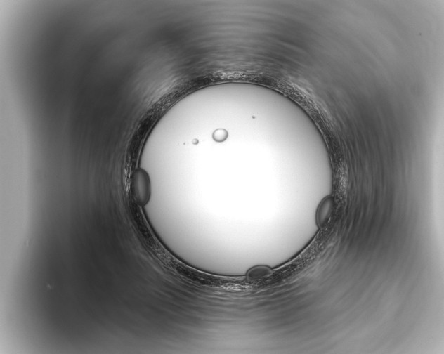 X0000093740691200710160750