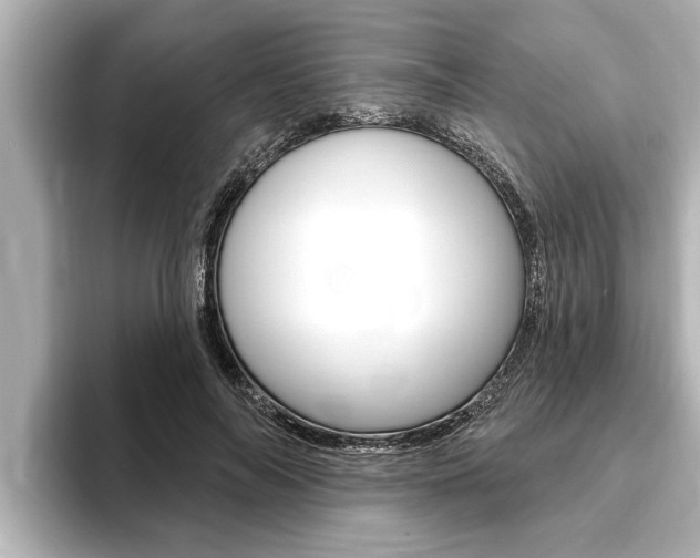 X0000093740694200710160750