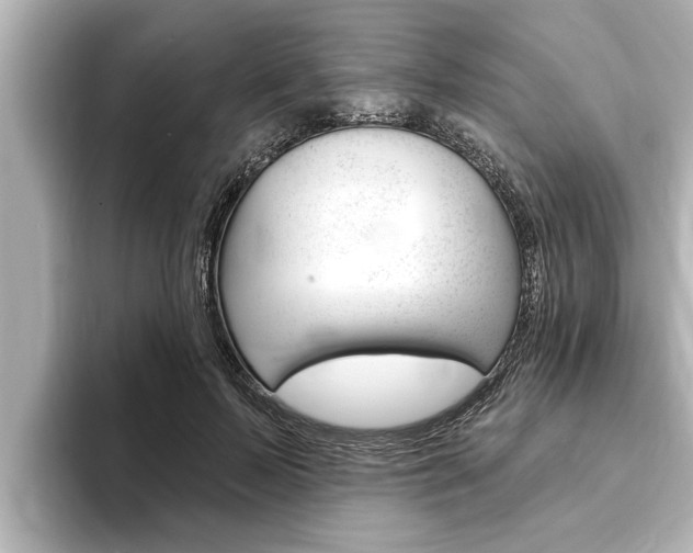 X0000093740695200710160750