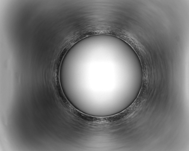 X0000093740696200710160750