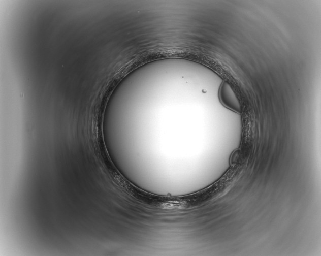 X0000093740700200710160750