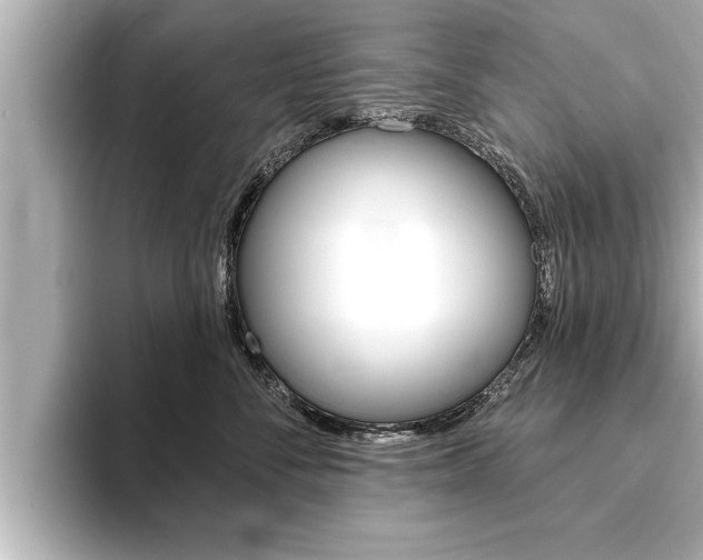 X0000093740716200710160750