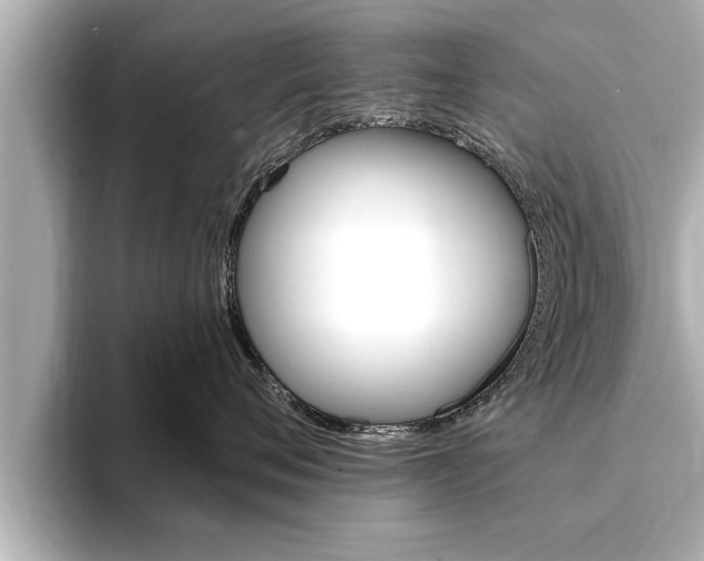 X0000093740720200710160750