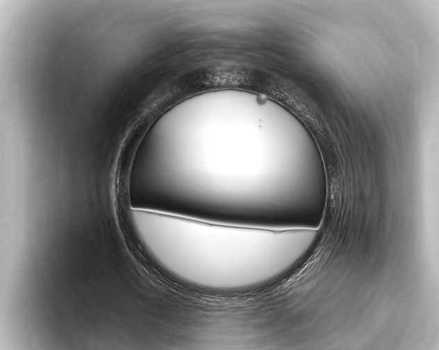 X0000093740722200710160749