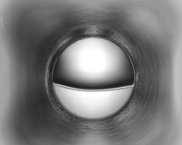 X0000093740724200710160749
