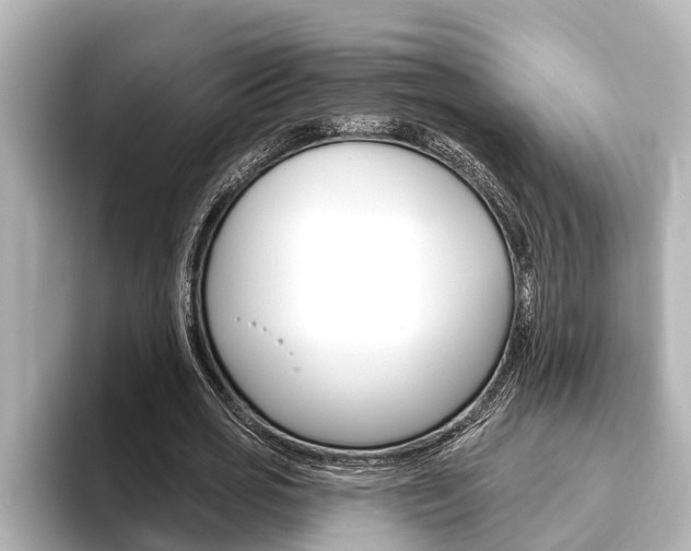 X0000093740725200710160749