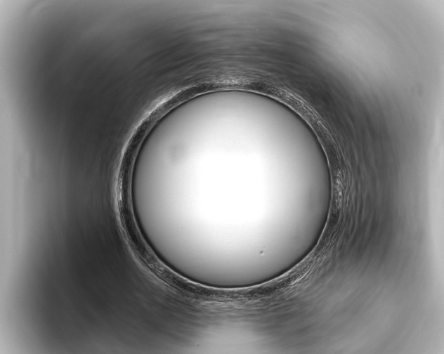 X0000093740726200710160749