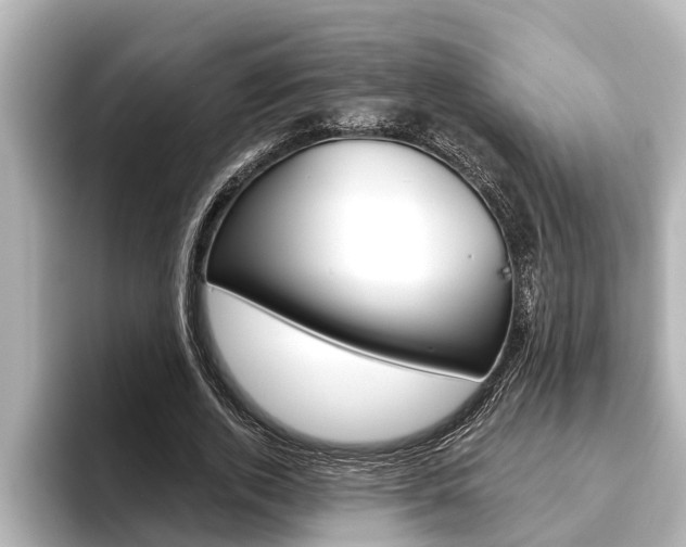 X0000093740728200710160749