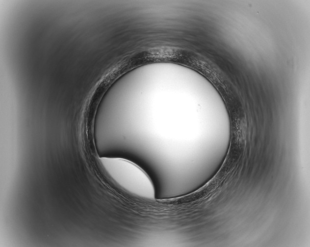 X0000093740731200710160749