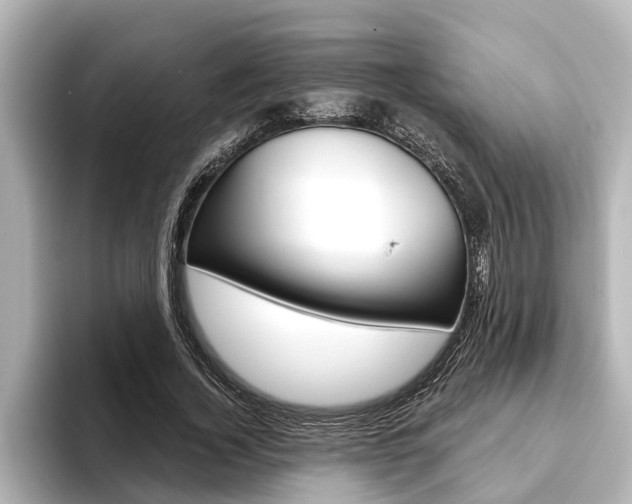 X0000093740732200710160749