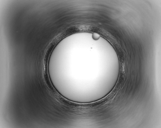 X0000093740733200710160749