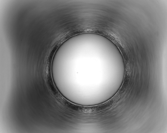 X0000093740740200710160749