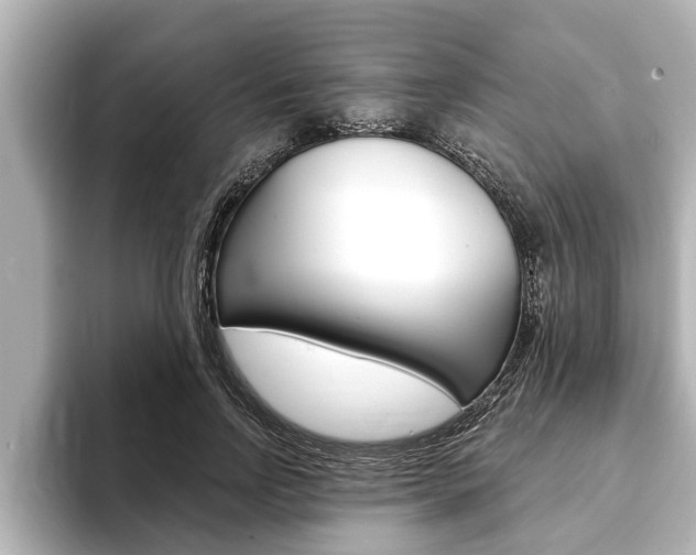 X0000093740742200710160749