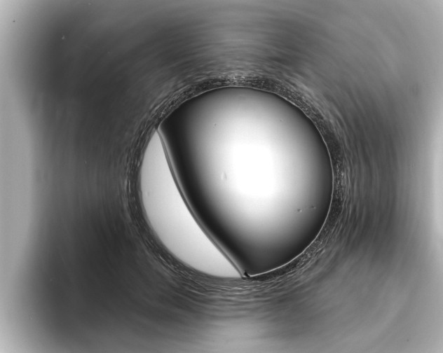 X0000093740750200710160749