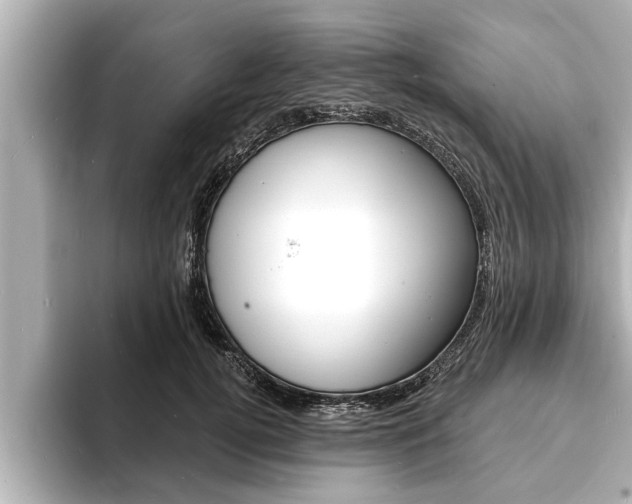 X0000093740752200710160749