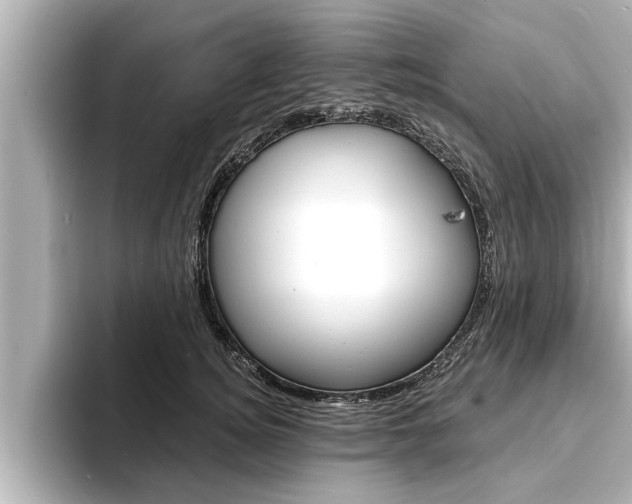 X0000093740756200710160749