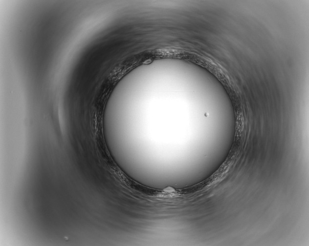 X0000093740762200710160750