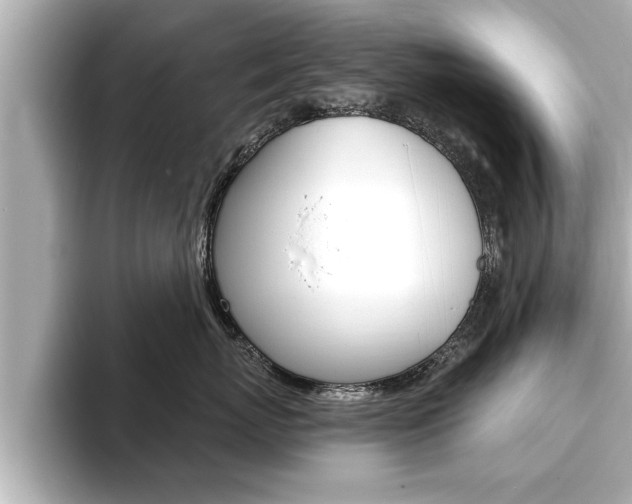 X0000093740767200710160750