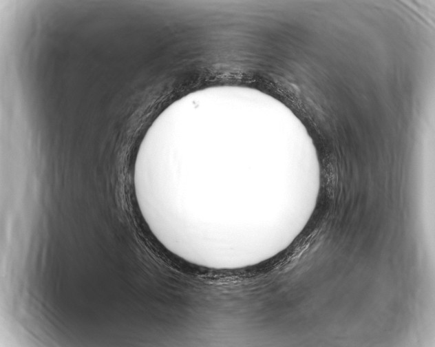 X0000093740769200710160749