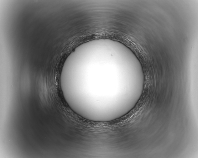 X0000093740770200710160749