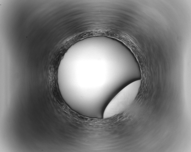 X0000093740773200710160749