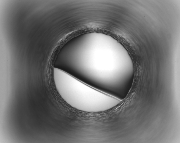 X0000093740776200710160749