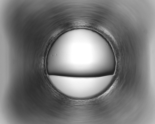 X0000093740777200710160749