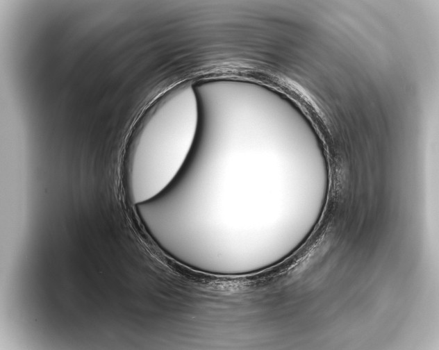 X0000093740778200710160749