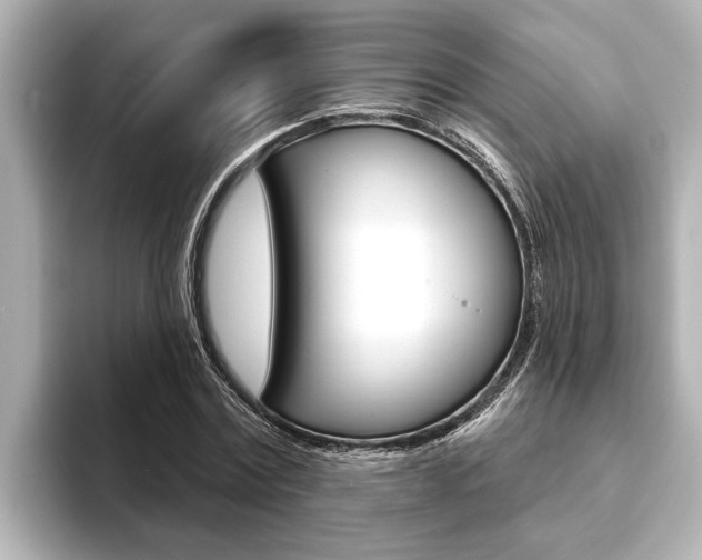 X0000093740779200710160749