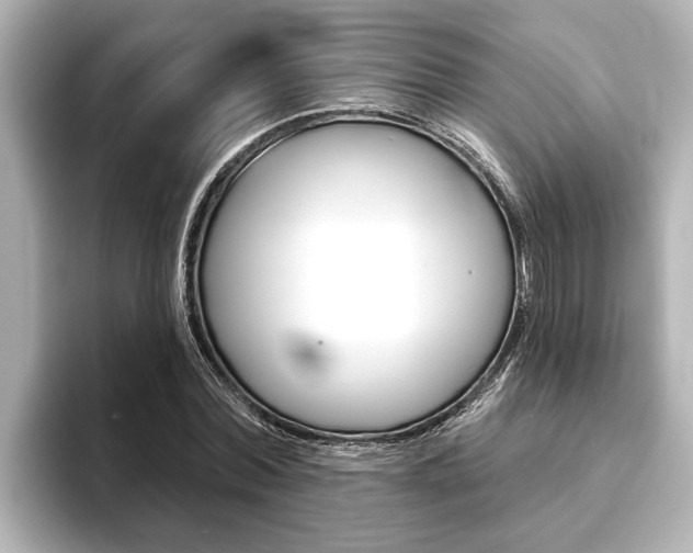 X0000093740780200710160749