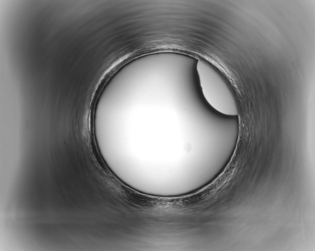 X0000093740790200710160749