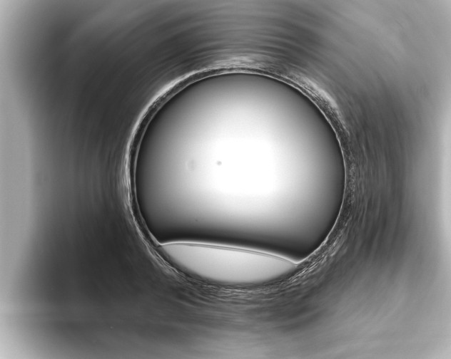 X0000093740792200710160749