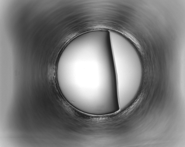 X0000093740793200710160749
