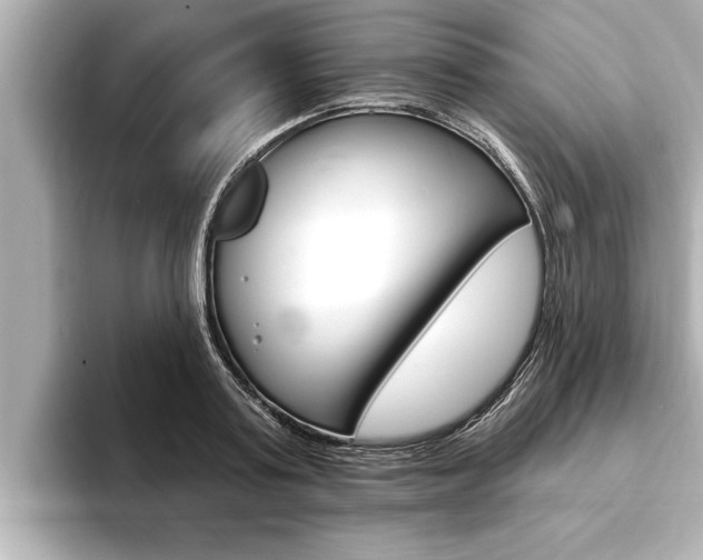 X0000093740795200710160749