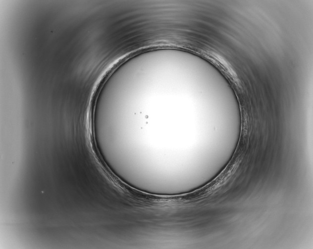 X0000093740796200710160749