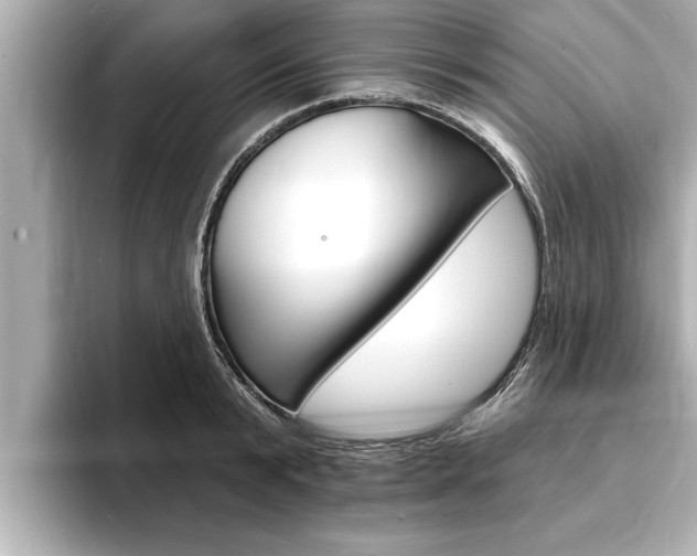 X0000093740799200710160749