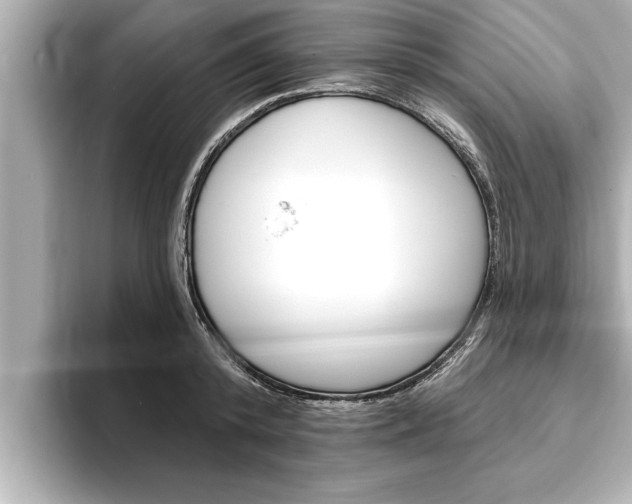 X0000093740800200710160749