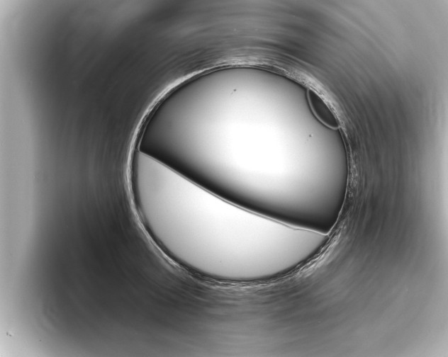 X0000093740803200710160749